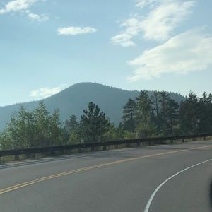 Meet your Posher, Abbey